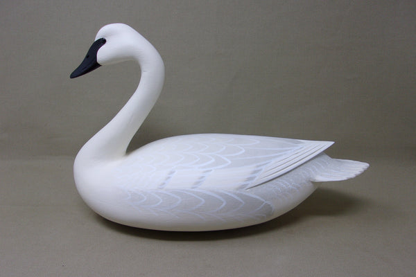 Frederick Brown 1/3 size Trumpeter Swan  (#4104)