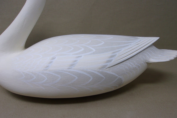 Frederick Brown 1/3 size Trumpeter Swan  (#4104)
