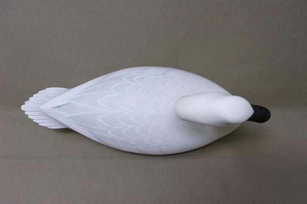 Frederick Brown 1/3 size Trumpeter Swan  (#4104)