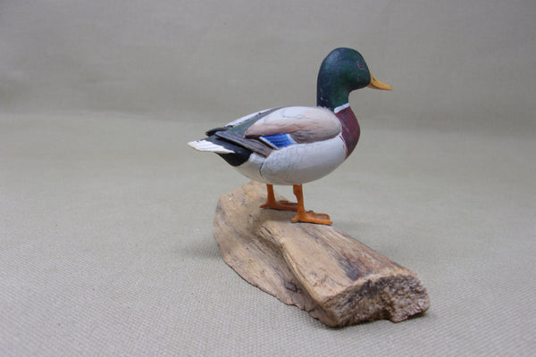Miniature Reinbold Standing Mallard Drake (#4111)
