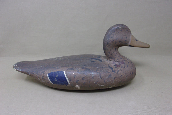 Perry Wilcoxen Mallard, Circa 1920's (#4139)