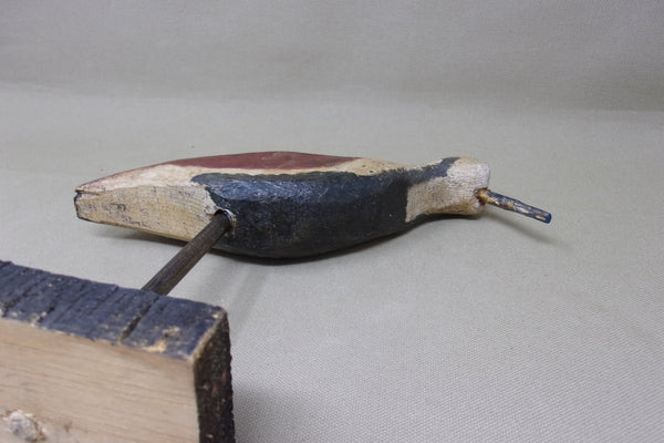 Ruddy Turnstone, Unknown (#4148)