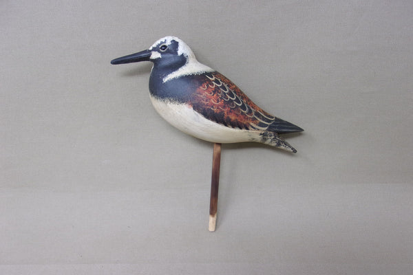 Ruddy Turnstone by Ken Kirby (#4151)