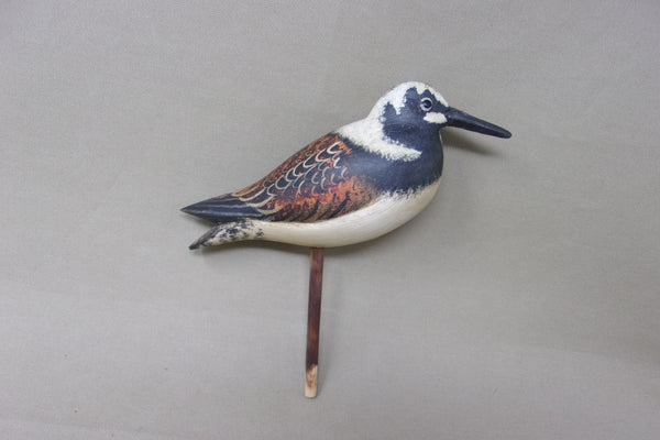 Ruddy Turnstone by Ken Kirby (#4151)