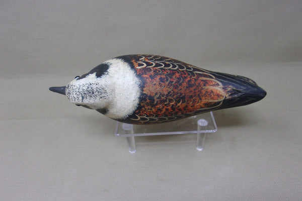 Ruddy Turnstone by Ken Kirby (#4151)