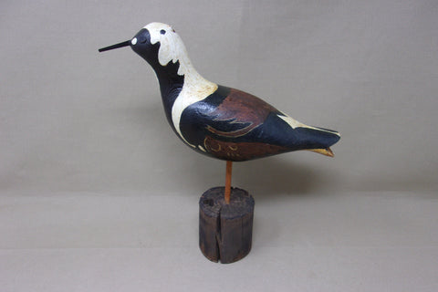 Ruddy Turnstone Shorebird (#4152)