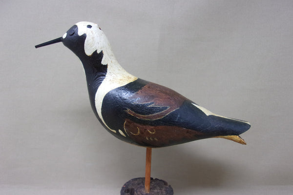 Ruddy Turnstone Shorebird (#4152)