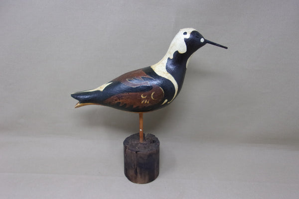 Ruddy Turnstone Shorebird (#4152)