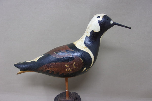 Ruddy Turnstone Shorebird (#4152)