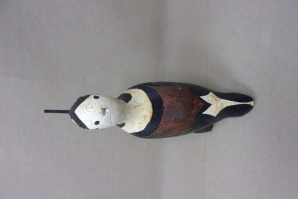 Ruddy Turnstone Shorebird (#4152)