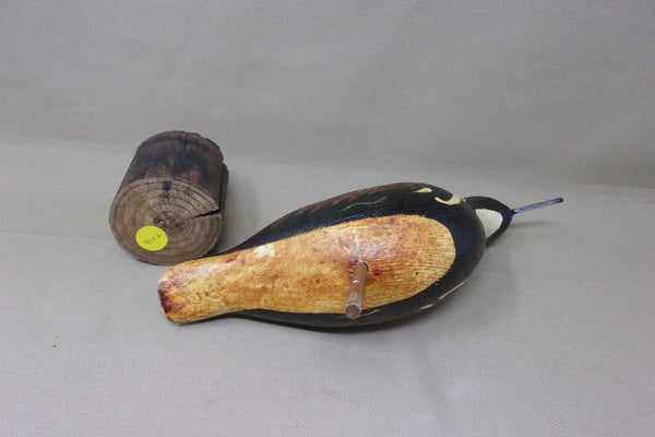 Ruddy Turnstone Shorebird (#4152)