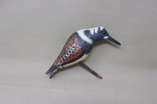 Ken Kirby Ruddy Turnstone (#4154)