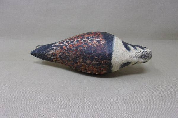 Ken Kirby Ruddy Turnstone (#4154)