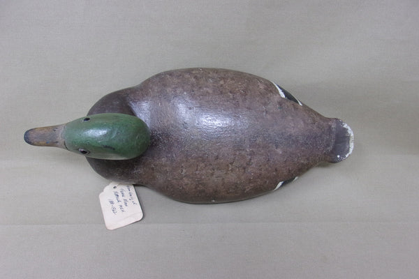 Michigan Mallard Drake, Rig of Frank Moon, Circa 1890-1900 (#4161)