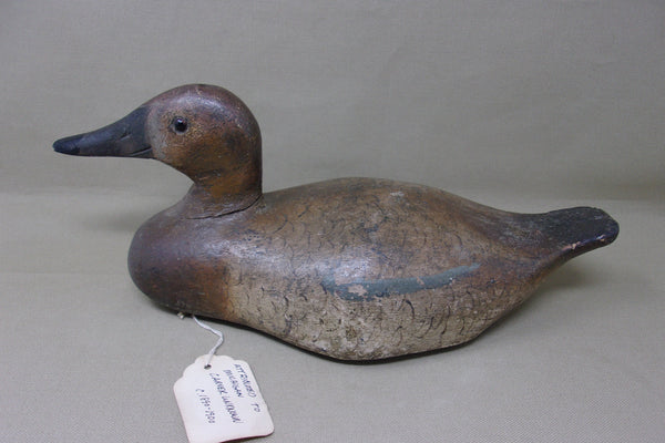 Michigan Canvasback Hen, Rig of Frank Moon (#4162)
