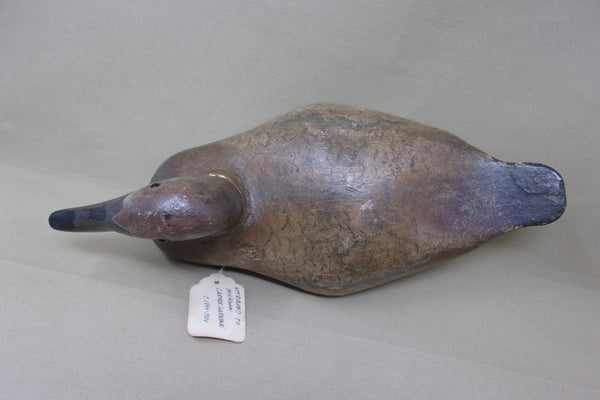 Michigan Canvasback Hen, Rig of Frank Moon (#4162)