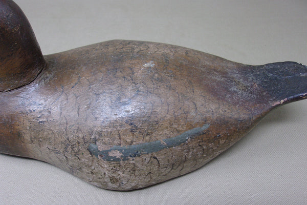 Michigan Canvasback Hen, Rig of Frank Moon (#4162)