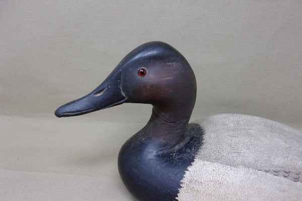 J. J. West Canvasback Drake  (#4164)