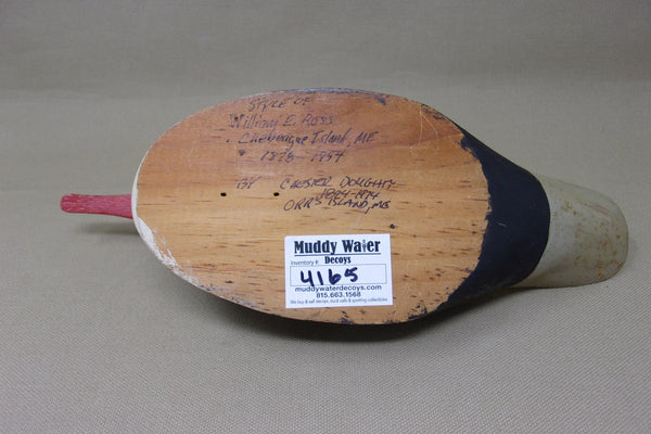 Ross Style Third Size Merganser by Doughty (#4165)