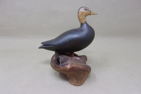 H. Wasson Miniature Standing Black Duck (#4176)