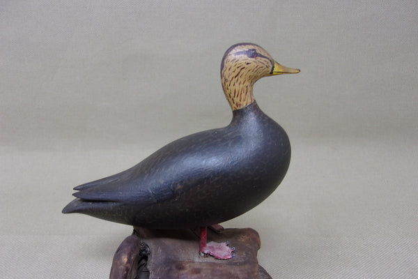 H. Wasson Miniature Standing Black Duck (#4176)