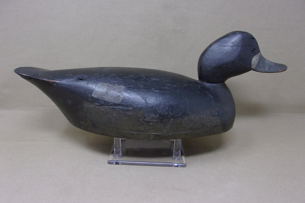 Canadian Blue Bill Hen, Hollow Bottomboard  (#4207)