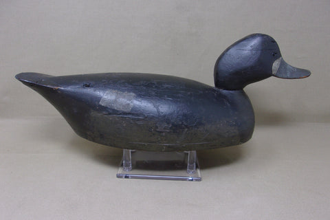 Canadian Blue Bill Hen, Hollow Bottomboard  (#4207)