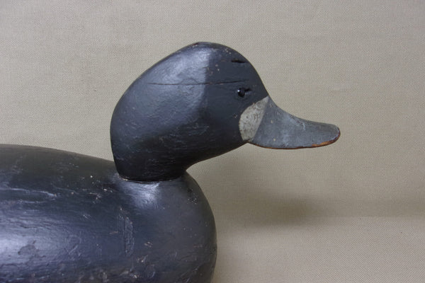 Canadian Blue Bill Hen, Hollow Bottomboard  (#4207)