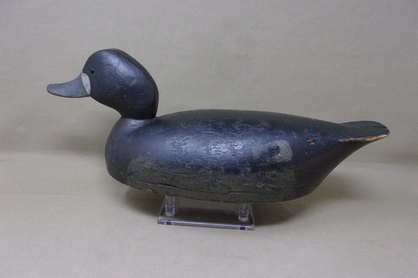 Canadian Blue Bill Hen, Hollow Bottomboard  (#4207)