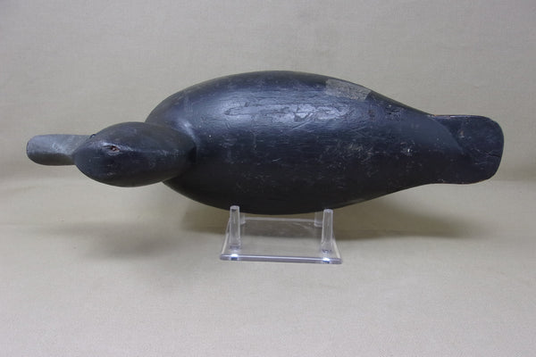 Canadian Blue Bill Hen, Hollow Bottomboard  (#4207)