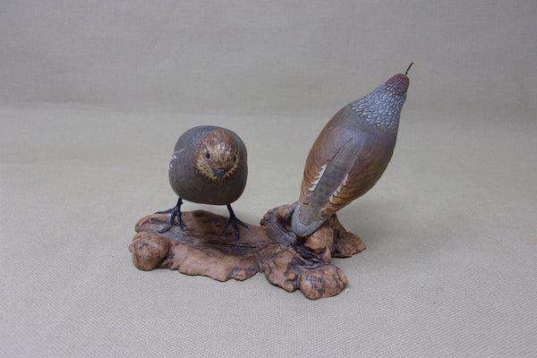 Gambels Quail Pair, Miniatures on Driftwood  (#4212)