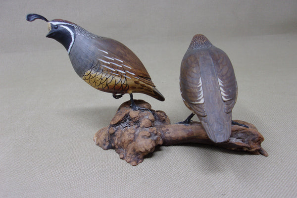 Gambels Quail Pair, Miniatures on Driftwood  (#4212)