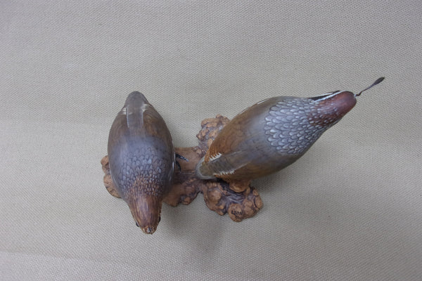 Gambels Quail Pair, Miniatures on Driftwood  (#4212)