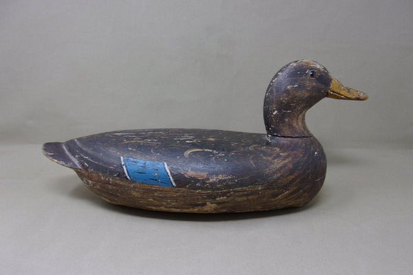 Henry Holmes Mallard Hen, Circa 1910's (#4217)