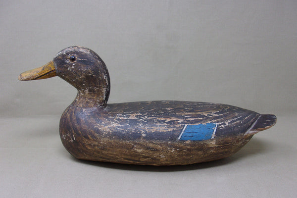 Henry Holmes Mallard Hen, Circa 1910's (#4217)