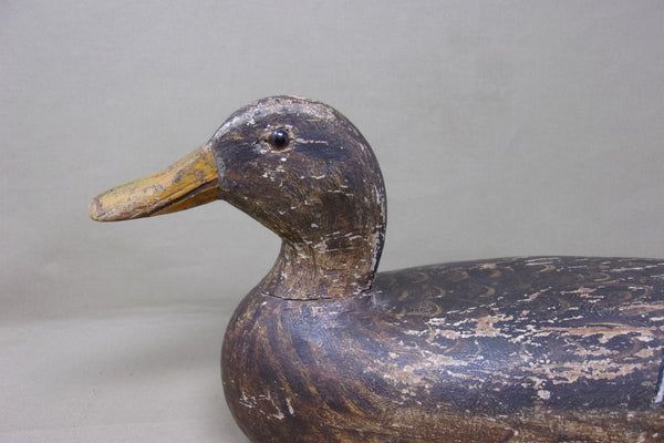 Henry Holmes Mallard Hen, Circa 1910's (#4217)