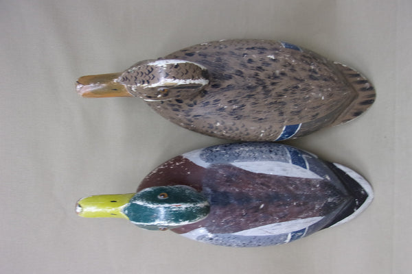 Wilford Bush Mallard Pair, Circa 1930's All original (#4223)