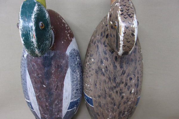 Wilford Bush Mallard Pair, Circa 1930's All original (#4223)