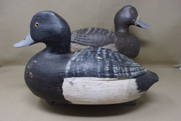 Moze Suzar Blue Bills Pair, Ontario  (#4226)