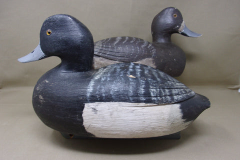 Moze Suzar Blue Bills Pair, Ontario  (#4226)