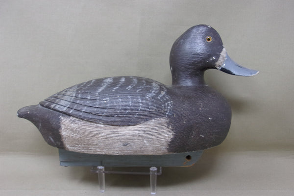 Moze Suzar Blue Bills Pair, Ontario  (#4226)