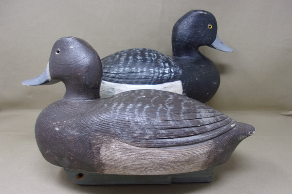 Moze Suzar Blue Bills Pair, Ontario  (#4226)