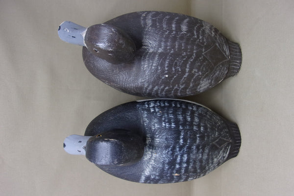 Moze Suzar Blue Bills Pair, Ontario  (#4226)