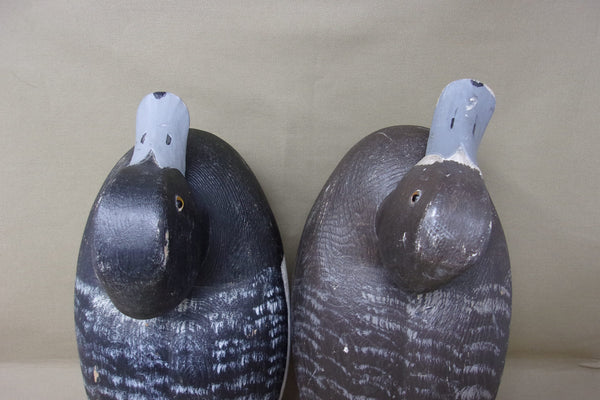 Moze Suzar Blue Bills Pair, Ontario  (#4226)