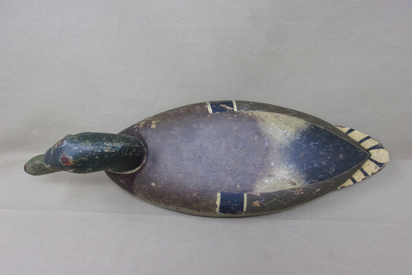 Elliston Mallard Drake, Circa 1890's  (#4245)