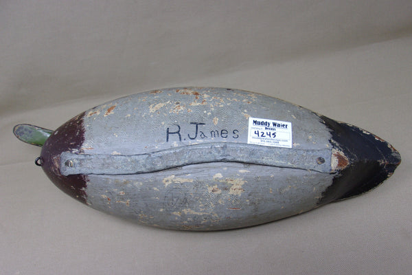 Elliston Mallard Drake, Circa 1890's  (#4245)