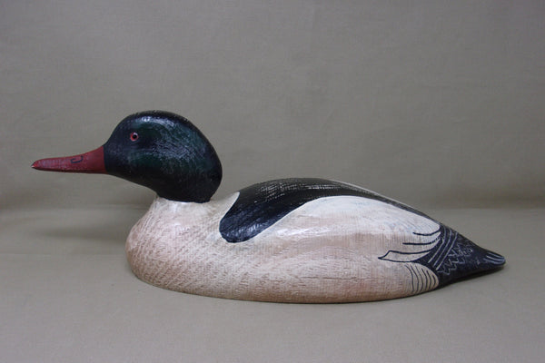 Rare Herters 1893 Series Common Merganser  (#4246)