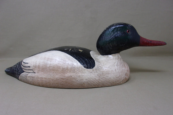 Rare Herters 1893 Series Common Merganser  (#4246)