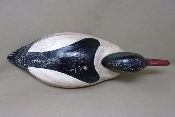 Rare Herters 1893 Series Common Merganser  (#4246)