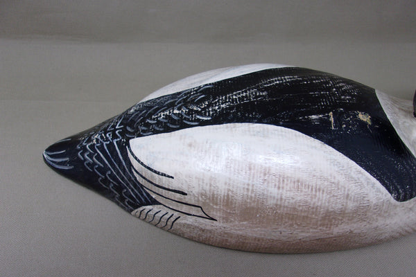 Rare Herters 1893 Series Common Merganser  (#4246)